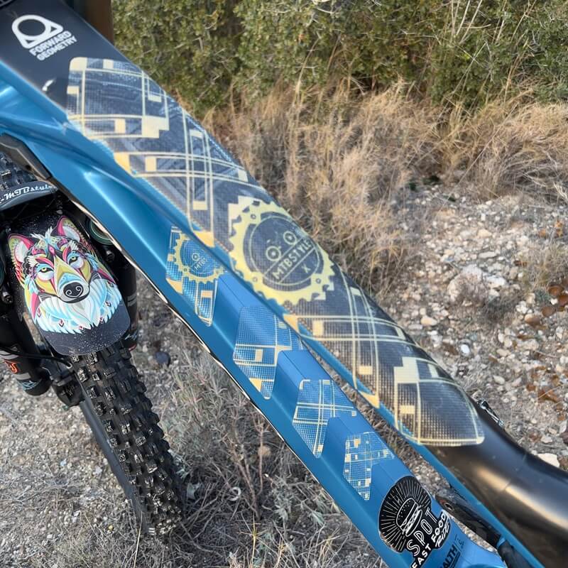 vinilos proteccion bici dorado xmtbstyle